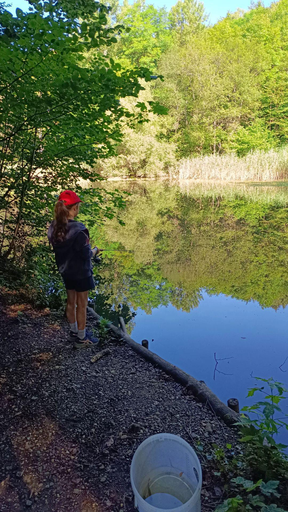 Fischen im Weiher