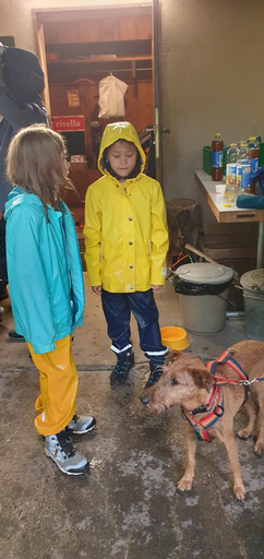 Hunde kennenlernen, Ängste abbauen