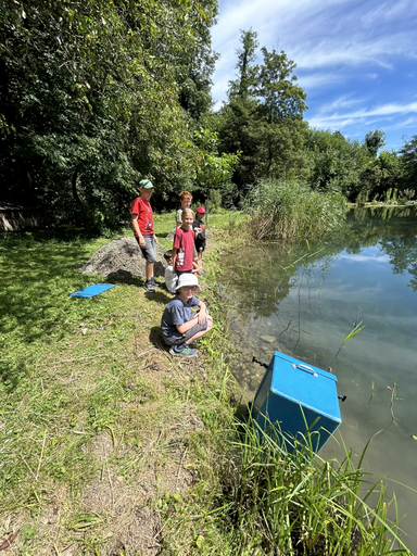 Fischen im Weiher